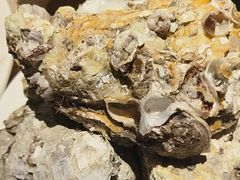 -星伦多自助料理(江阴万达店)