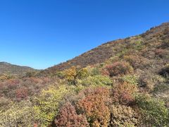 -北京西山国家森林公园