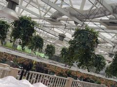 -天宫南铂玫瑰园酒店