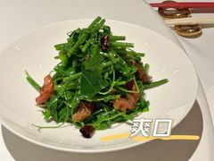 -西郊5号·Maggie 5