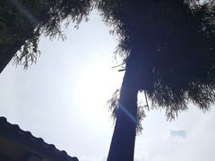 -西岭雪山大飞水景区