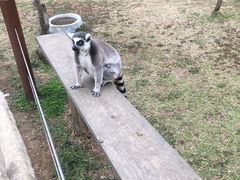 -杭州野生动物世界