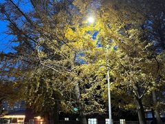 -辽宁大学(崇山校区)