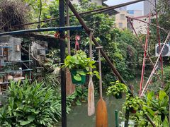 -小洲村