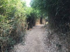 -大罗山风景区