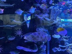 -左海海底世界