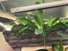 -忆外婆徐州菜·地锅鸡·生日宴(吴庄店)