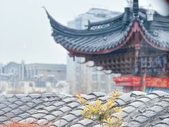 -IFIF 如果花園(宽厚里店)