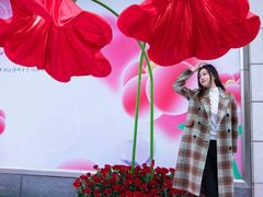 -金鹰国际购物中心(淮安店)