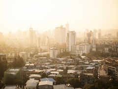 -金鸡山公园