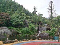 -大围山国家森林公园