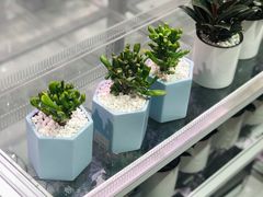 -KKV(深圳宏发大仟里店)