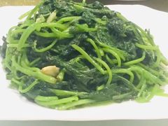 清炒地瓜叶-香香海南菜餐厅