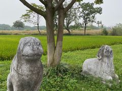 -良渚古城遗址公园