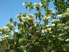 -花溪公园