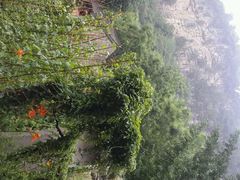 android_upload_pic-青州仰天山