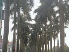 -顺峰山公园