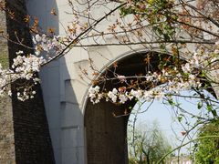 -莫愁湖公园