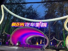 -枫花园汽车电影院(朝阳公园店)