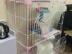 -青春加萌照相馆