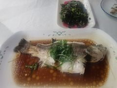 -云中小雅