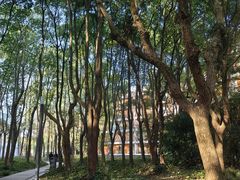 -中国浦东干部学院