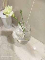 -HEYAN荷妍专业脱毛连锁机构