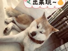 -餐酒吧Com-ing Bar(上海路店)