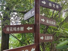 -金山公园