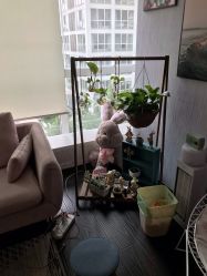 -Hi Skin皮肤管理中心