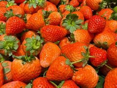 -初色海鲜自助(万丰路店)