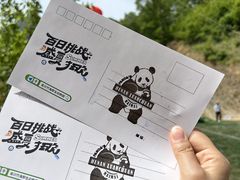 -栾川竹海野生动物园