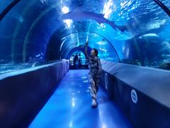 -太平洋海底世界