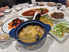 -丁老爷子苏香圆