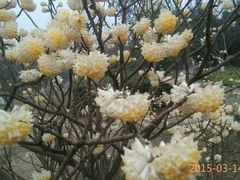 -白塘生态植物园