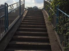 -嘉乐蛋挞王(惠福西路店)