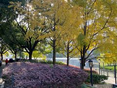 -苏州河梦清园环保主题公园