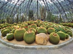 -深圳仙湖植物园