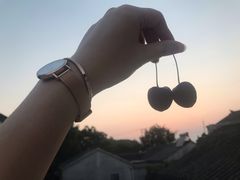 -鲜丰水果(九洲新世界花苑店)