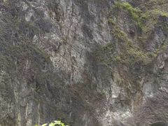 -太鲁阁公园