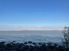 -上海吴淞炮台湾国家湿地公园