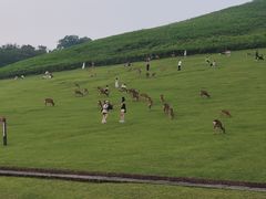 -奈良公园