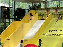 -南宫五洲植物乐园