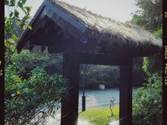 -深圳国际园林花卉博览园