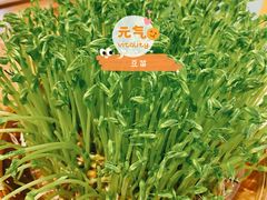 -广顺鑫猪肚鸡(经八路店)