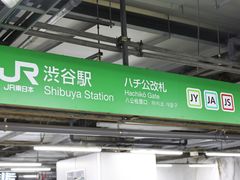 -涩谷区