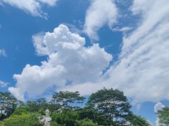 -白石龙音乐公园