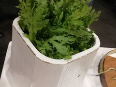 -丁卯•铜锅涮肉(工体店)