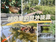 -三里河公园