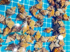 -三亚火车头万人海鲜广场